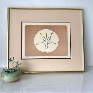Original Sand Dollar Print - signed & numbered
